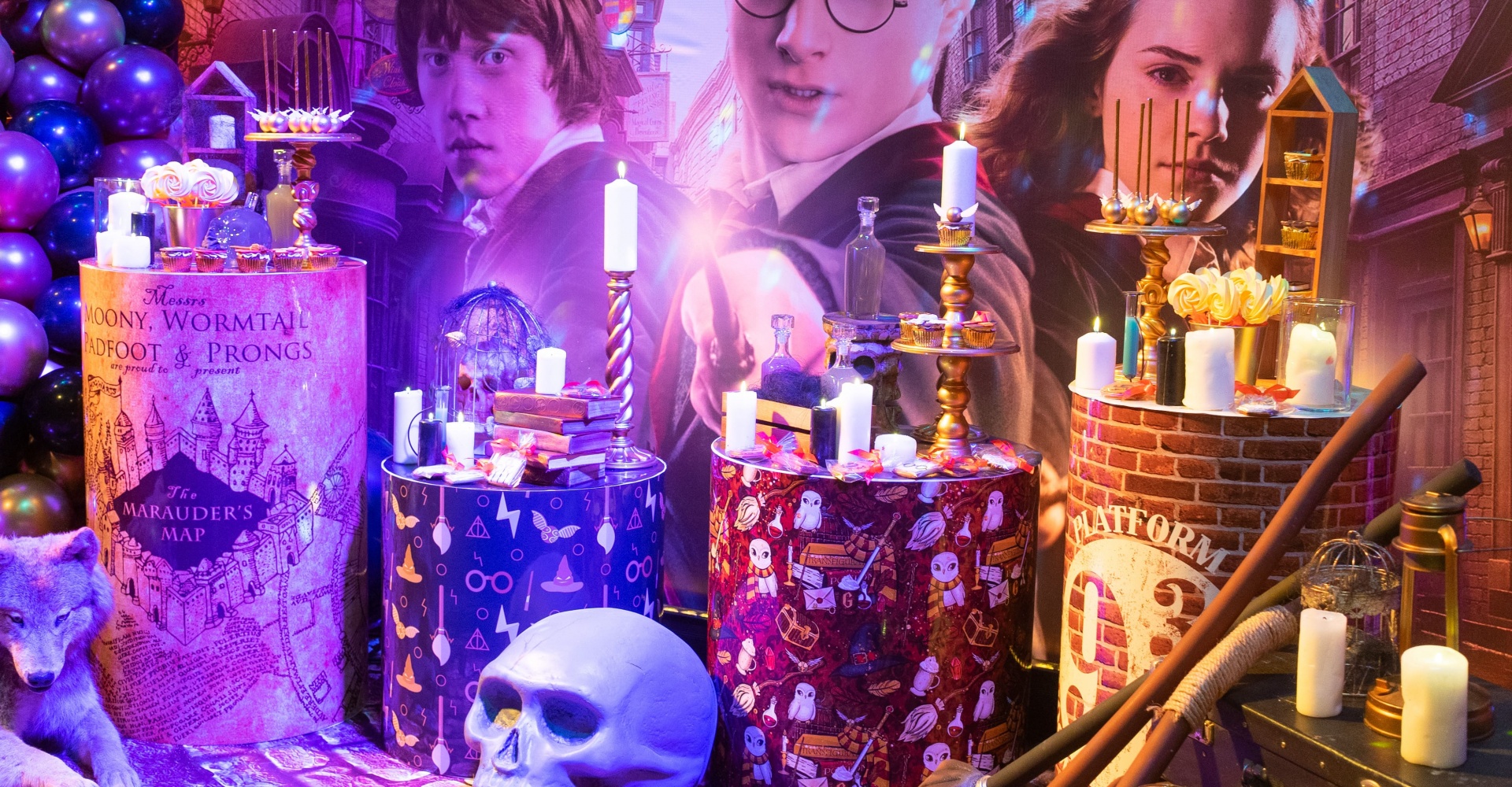 Harry Potter | Birthday Party